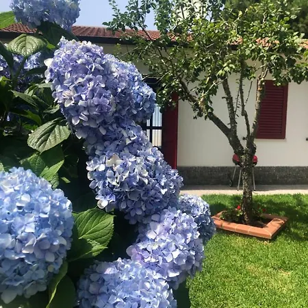 La Casa Delle Ortensie Дом отдыха