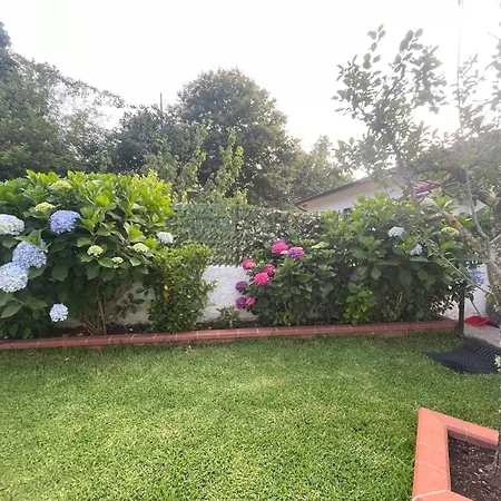 La Casa Delle Ortensie